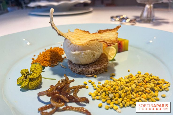 Inoveat, le restaurant gastronomique d'insectes à Paris - nos photos - image00005