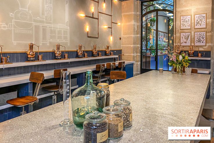 La Distillerie de l’Arbre Sec : l'atelier de création de gin à deux pas du Louvre