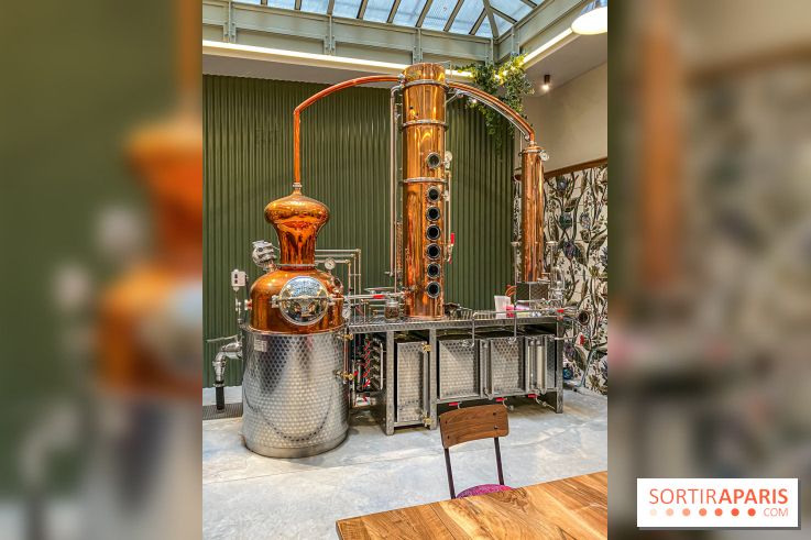 La Distillerie de l’Arbre Sec : l'atelier de création de gin à deux pas du Louvre