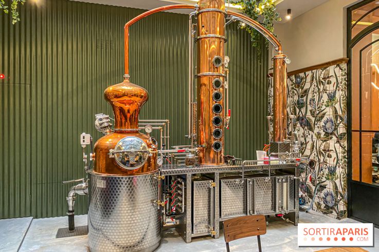La Distillerie de l’Arbre Sec : l'atelier de création de gin à deux pas du Louvre