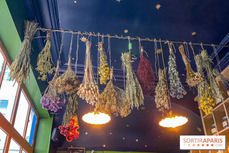 La Distillerie de l’Arbre Sec : l'atelier de création de gin à deux pas du Louvre