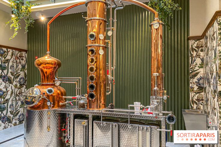 La Distillerie de l’Arbre Sec : l'atelier de création de gin à deux pas du Louvre