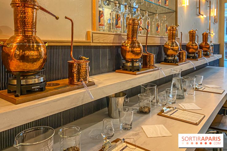 La Distillerie de l’Arbre Sec : l'atelier de création de gin à deux pas du Louvre