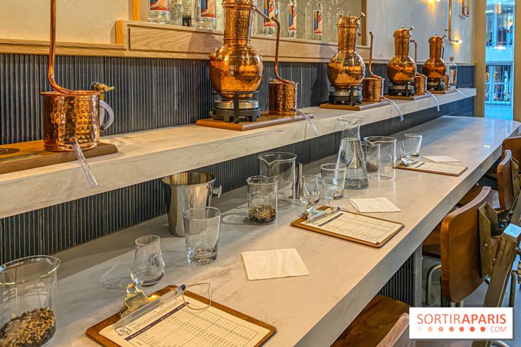 La Distillerie de l’Arbre Sec : l'atelier de création de gin à deux pas du Louvre