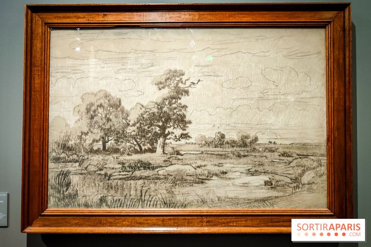 La voix de la forêt : l'exposition qui nous reconnecte avec la nature au Petit Palais - photos
