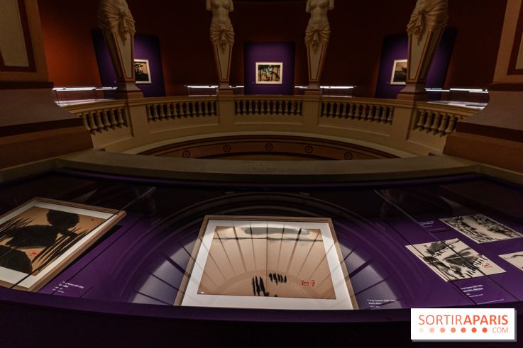 Exposition T'ang Haywen au Musée Guimet à Paris -  A7C8056