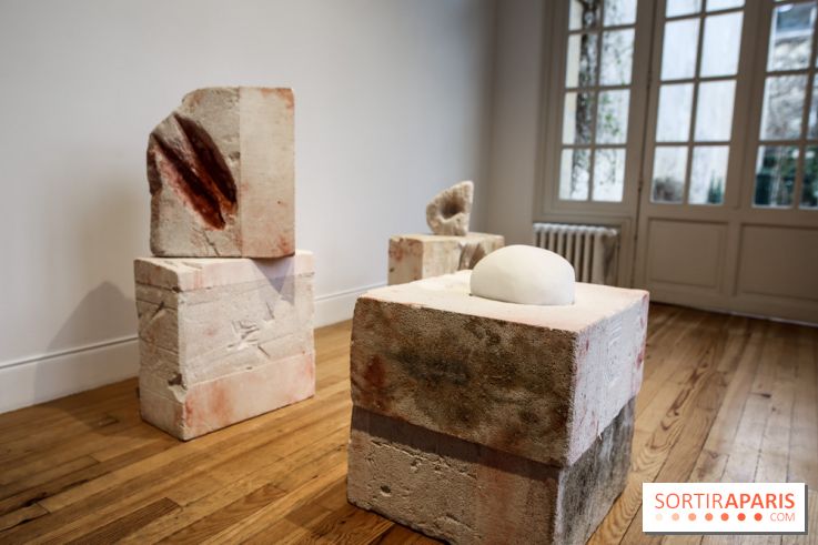 Suivre les ondes, nos photos de l'expo à l'Institut suédois