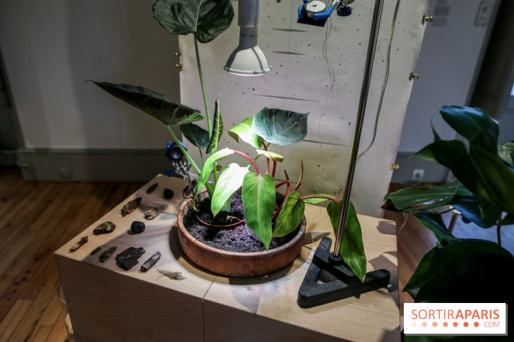 Suivre les ondes, nos photos de l'expo à l'Institut suédois