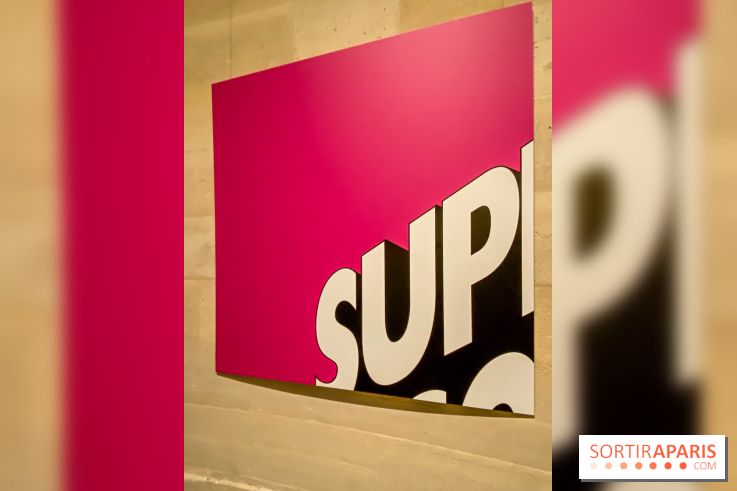 H5 - Voir la French Touch, l'exposition musicale à l'Espace Richaud, à Versailles - IMG 5053