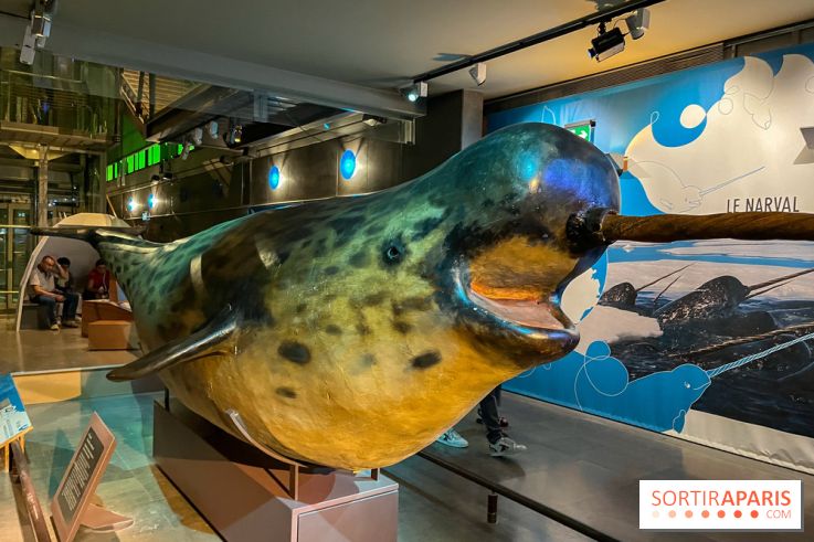 Grande Galerie de l'évolution- visuels 2024 - image00092