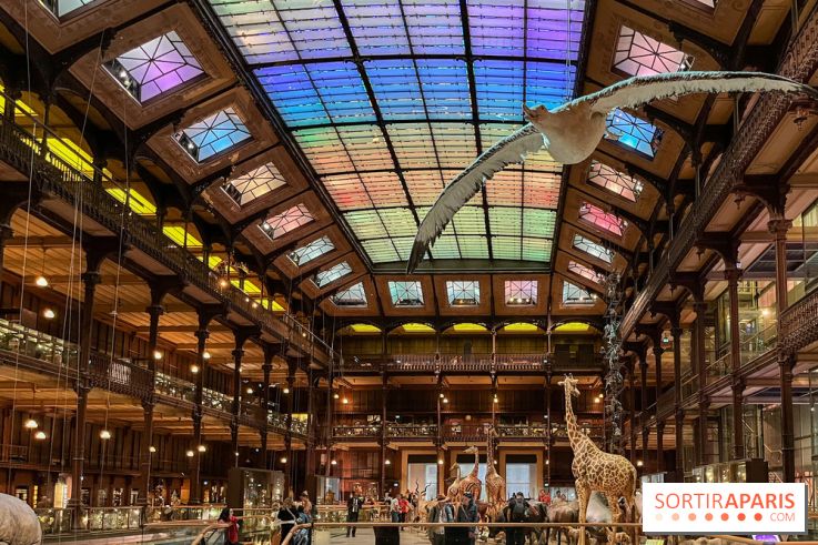 Grande Galerie de l'évolution- visuels 2024