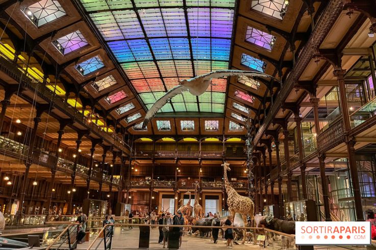 Grande Galerie de l'évolution- visuels 2024