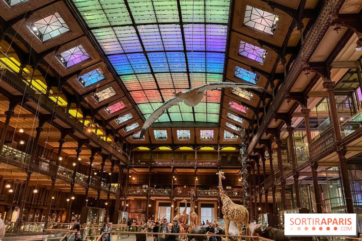 Grande Galerie de l'évolution- visuels 2024