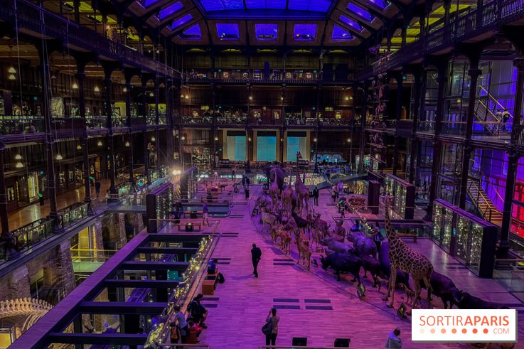 Grande Galerie de l'évolution- visuels 2024 - image00057