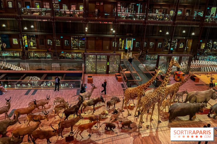 Grande Galerie de l'évolution- visuels 2024 - image00035