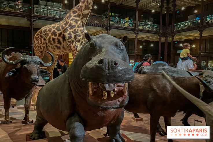 Grande Galerie de l'évolution- visuels 2024