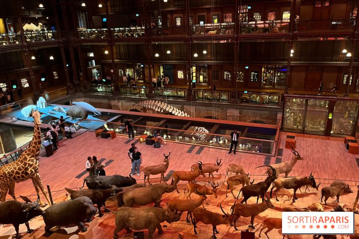 Grande Galerie de l'évolution- visuels 2024 - image00033