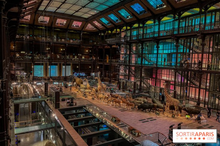 Grande Galerie de l'évolution- visuels 2024