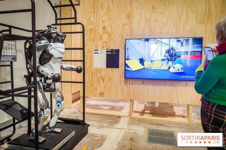 Match, design et sport : l'exposition originale du musée du Luxembourg