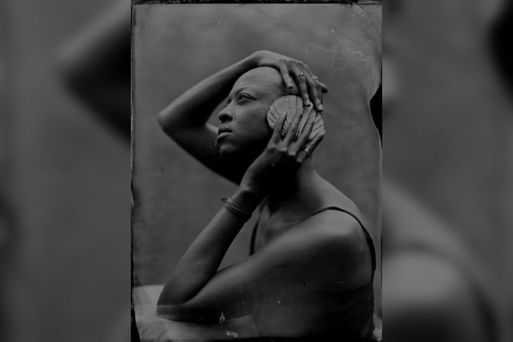 Campagne #32556 - (c) Laurence Papoutchian   The Analog Festival 2024