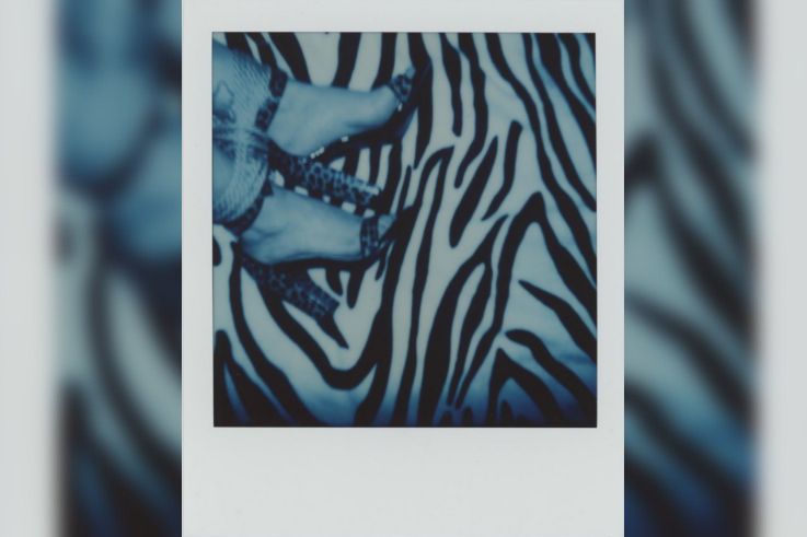 Campagne #32556 - (c) SIN   Mixed Polaroids   The Analog Festival 2024