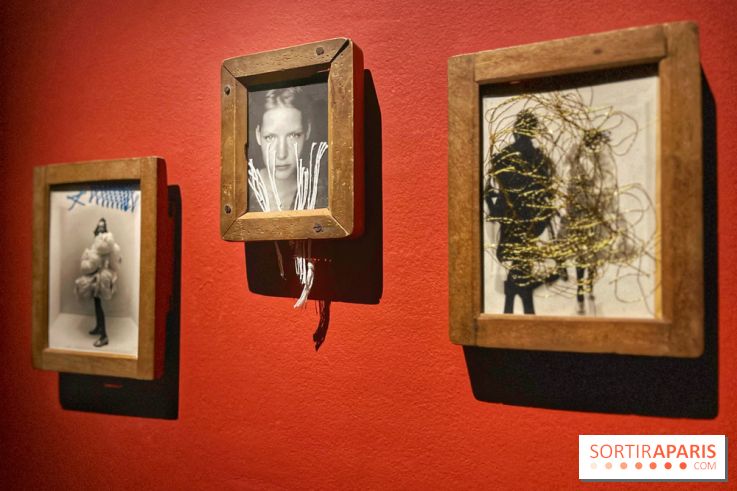 Paolo Roversi - IMG 9461