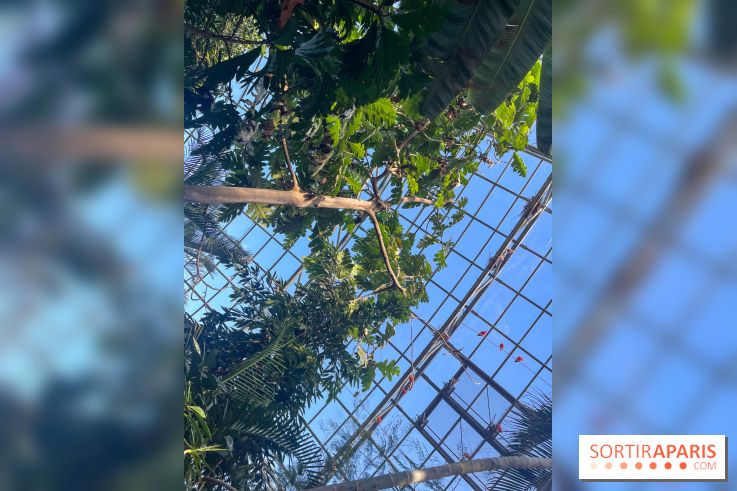 Zoo de Vincennes, Parc zoologique 2024 - nos photos - image00036