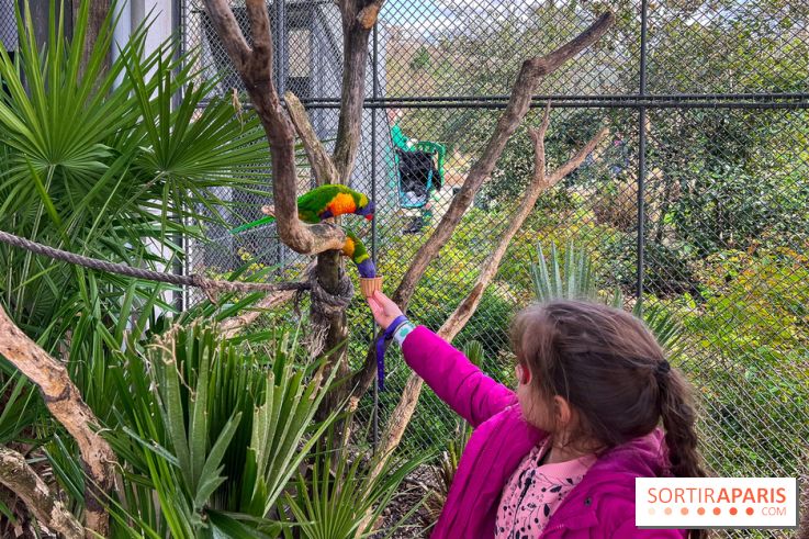 Visuels enfants, attractions, parc, Jardin d'Acclimatation, animaux, zoo - image00034