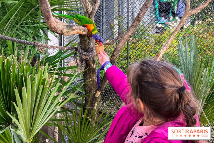 Visuels enfants, attractions, parc, Jardin d'Acclimatation, animaux, zoo - image00036