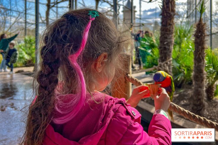 Visuels enfants, attractions, parc, Jardin d'Acclimatation, animaux, zoo