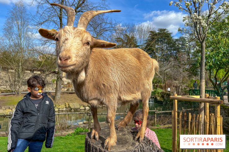Visuels enfants, attractions, parc, Jardin d'Acclimatation, animaux, zoo