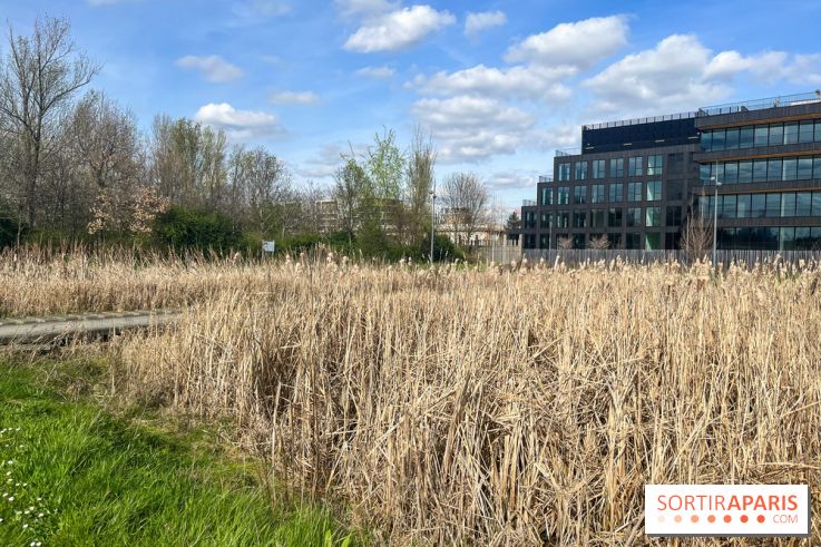 Parc des Impressionnistes à Clichy - nos photos - image00007