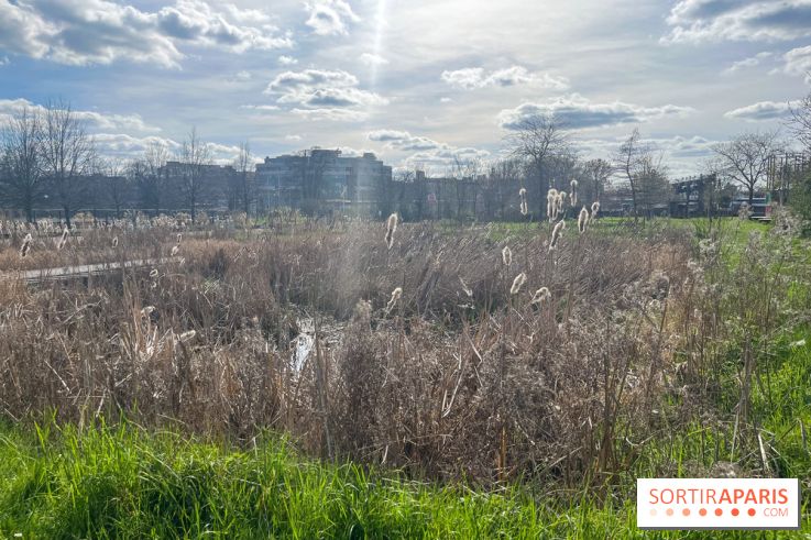 Parc des Impressionnistes à Clichy - nos photos - image00006