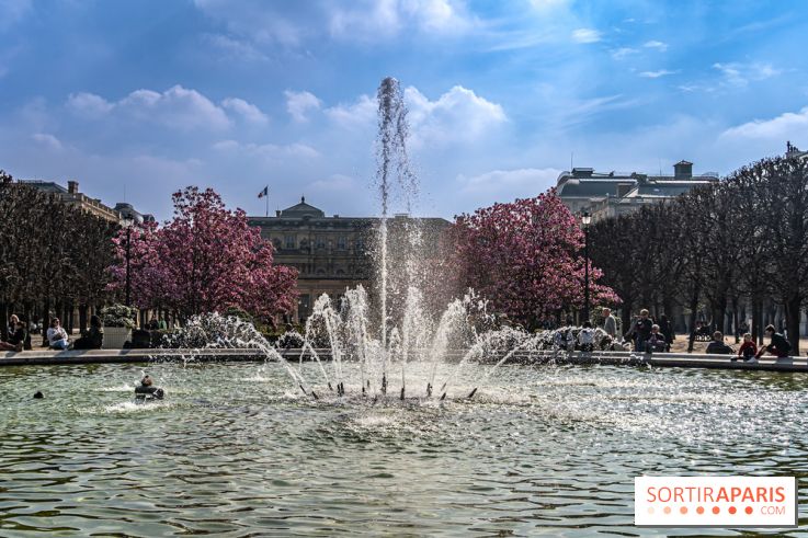 Les magnolias du Jardin du Palais Royal  - printemps - visuel Paris - fontaine - chaleur - beau temps