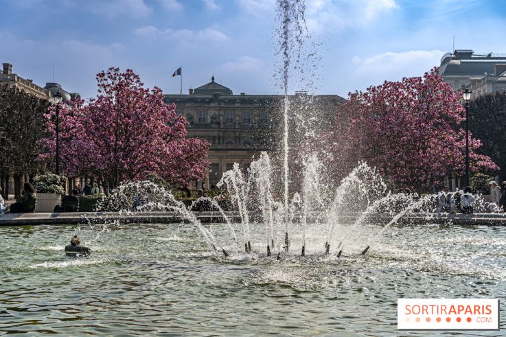 Les magnolias du Jardin du Palais Royal  - printemps - visuel Paris - fontaine - chaleur - beau temps