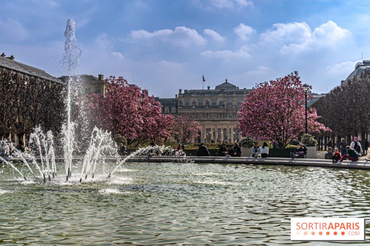 Les magnolias du Jardin du Palais Royal  - printemps - visuel Paris - fontaine - chaleur - beau temps
