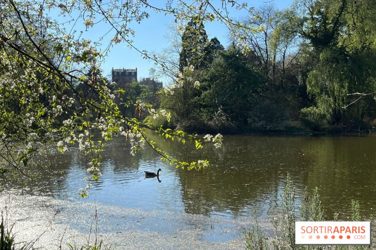 Lac de Saint-Mandé - nos photos - WhatsApp Image 2024 03 22 à 16.15.39 86c32a56