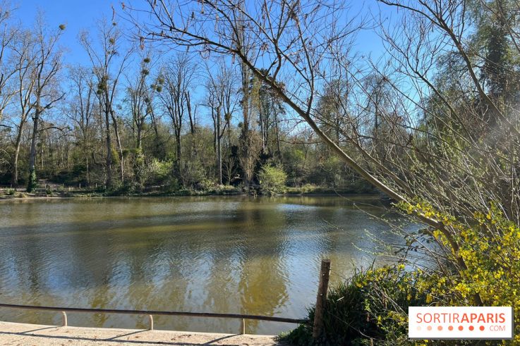 Lac de Saint-Mandé - nos photos - WhatsApp Image 2024 03 22 à 16.12.09 927d444d