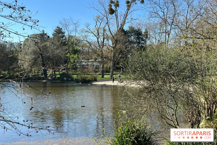 Lac de Saint-Mandé - nos photos - WhatsApp Image 2024 03 22 à 16.15.30 6feb9081