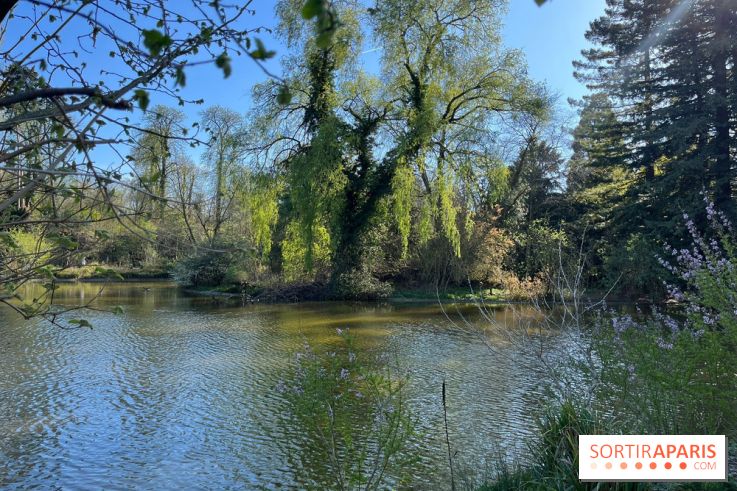 Lac de Saint-Mandé - nos photos - WhatsApp Image 2024 03 22 à 16.12.39 4c5a0a5e