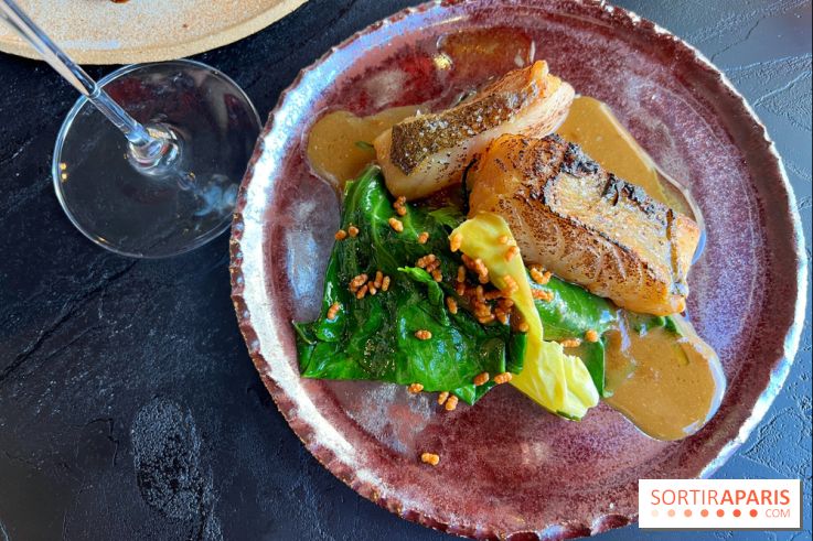 LAVA - Lieu jaune au miso