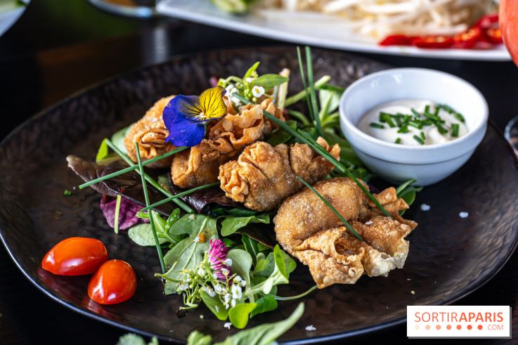 Didi Saigon, le restaurant vietnamien de Villiers sur Marne (94) -  raviolis aux crevettes