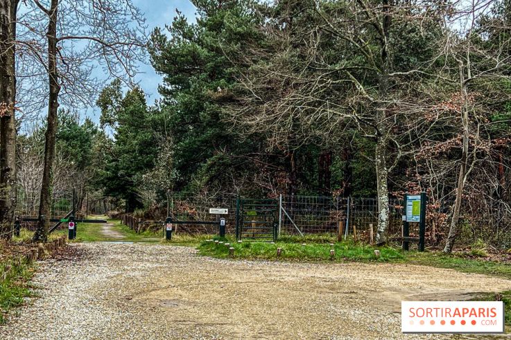 Arbor&Sens, l'Arboretum de Franchard en forêt de Fontainebleau - les photos