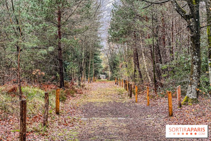 Arbor&Sens, l'Arboretum de Franchard en forêt de Fontainebleau - les photos - IMG 7938