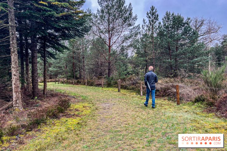 Arbor&Sens, l'Arboretum de Franchard en forêt de Fontainebleau - les photos