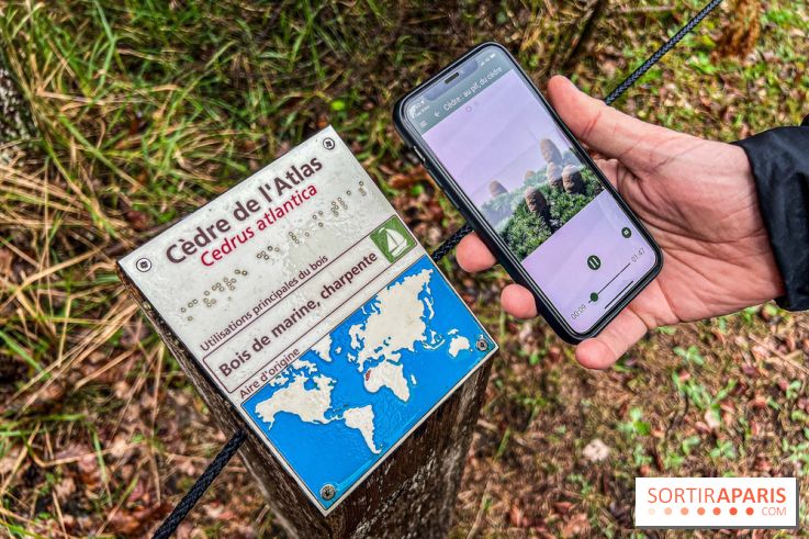 Arbor&Sens, l'Arboretum de Franchard en forêt de Fontainebleau - les photos