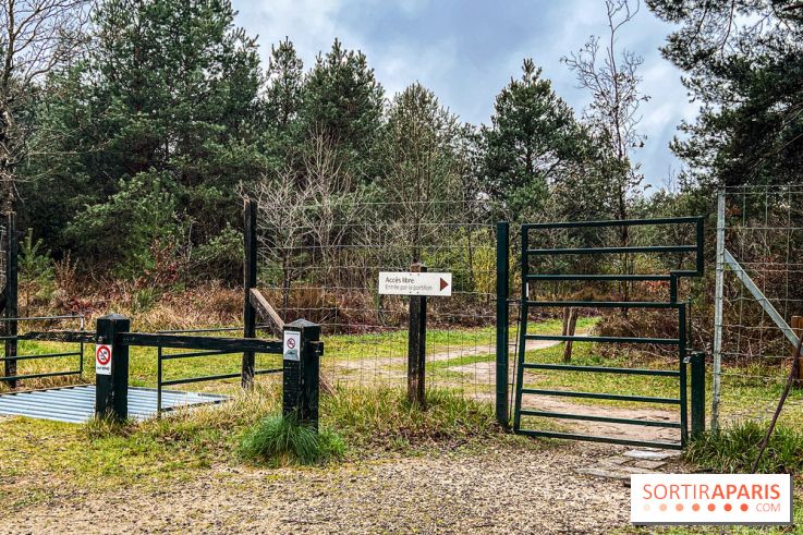 Arbor&Sens, l'Arboretum de Franchard en forêt de Fontainebleau - les photos