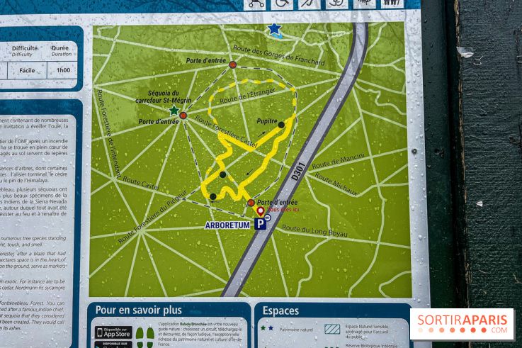 Arbor&Sens, l'Arboretum de Franchard en forêt de Fontainebleau - les photos - IMG 7899