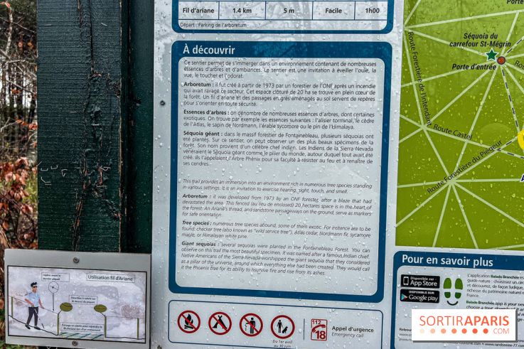 Arbor&Sens, l'Arboretum de Franchard en forêt de Fontainebleau - les photos