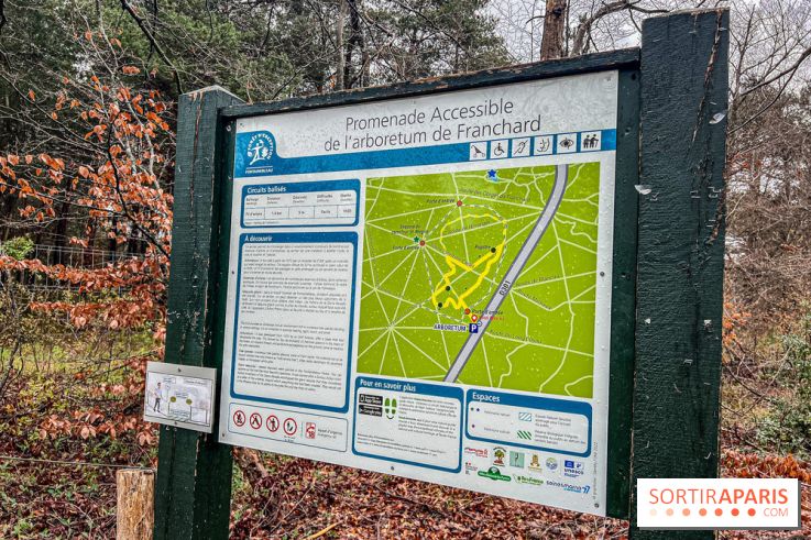 Arbor&Sens, l'Arboretum de Franchard en forêt de Fontainebleau - les photos
